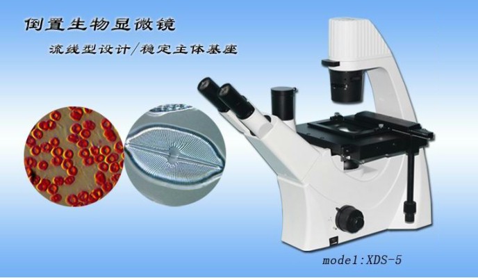 留辉科技 倒置生物显微镜 XDS－5 重庆显微镜专卖示例图1