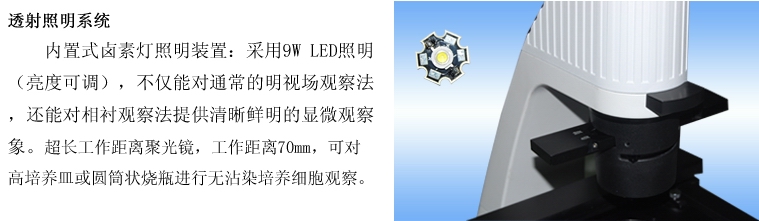 留辉科技 倒置生物显微镜 XDS－5 重庆显微镜专卖示例图5