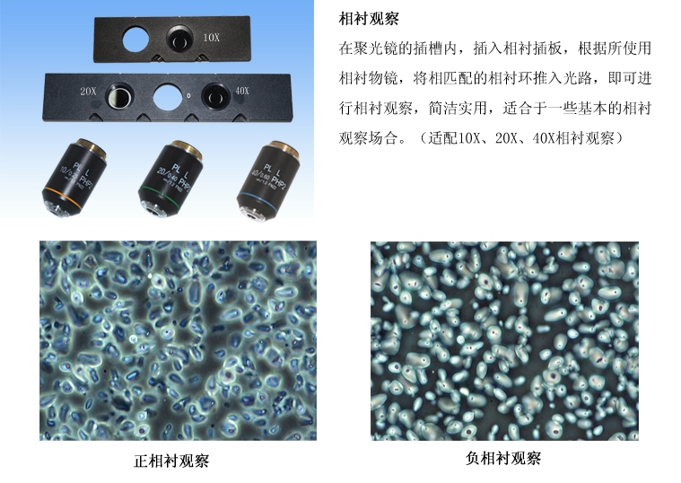 留辉科技 倒置生物显微镜 XDS－5 重庆显微镜专卖示例图6